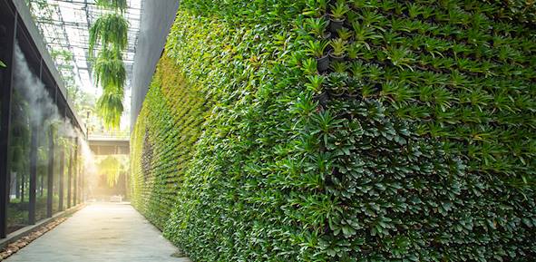 District Cooling Solutions: Achieving MENA’s Sustainability Ambitions